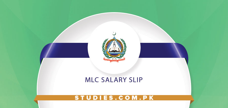 MLC Salary Slip